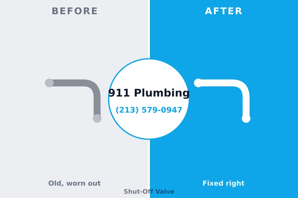 Before and after: plumbing company Vineyards, FL